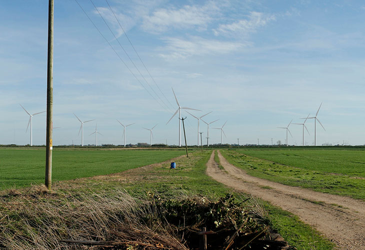 Heckington Fen