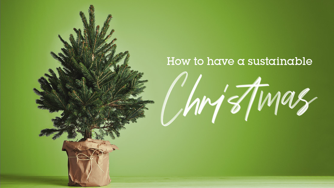 How to have a sustainable Christmas Ecotricity