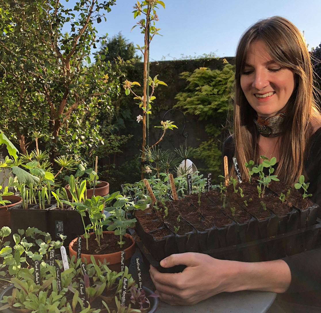 Tiny Garden header