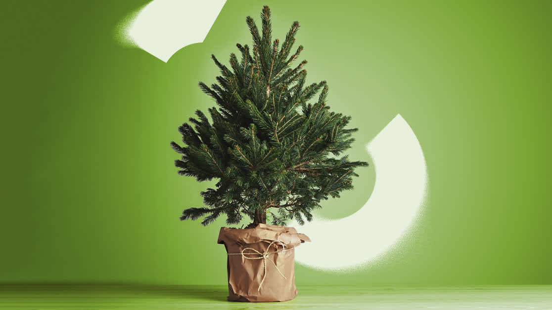 xmas tree
