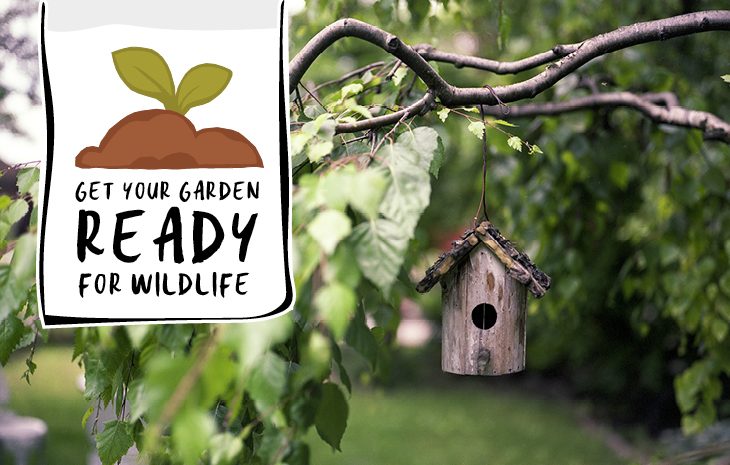 How to make your garden wildlife friendly | Ecotricity