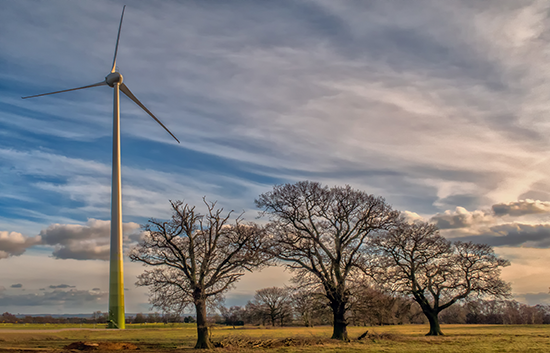 RSPB windmill begins generating green energy - Image 2