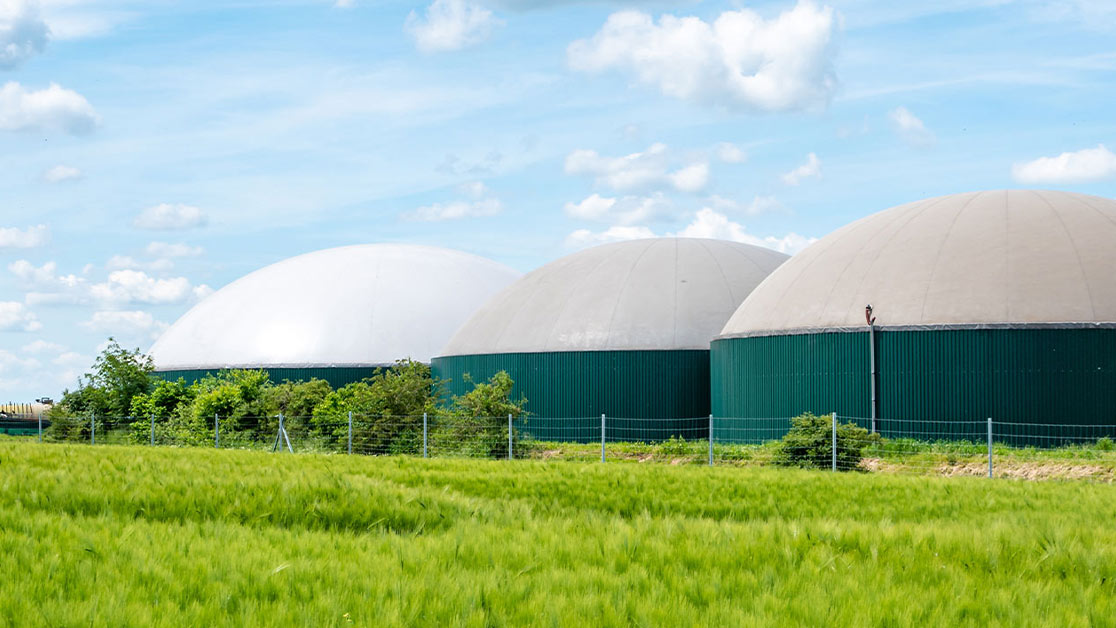 green gasmill