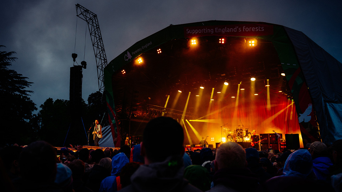 forest live pic