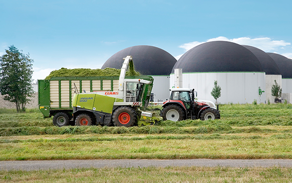 Ecotricity unveils plan for Britain to make its own gas – from grass - Image 2