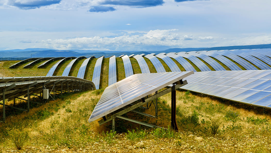 PCN august large solar germany