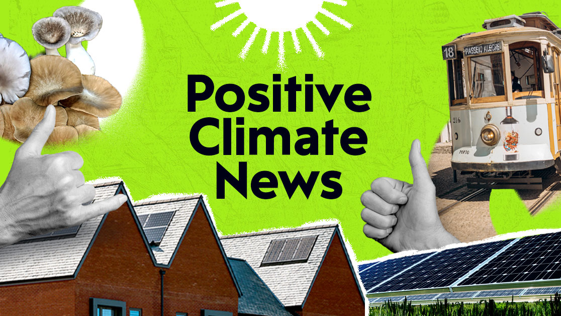 Record-Breaking Solar Power and Innovative Farming Transforming the Future