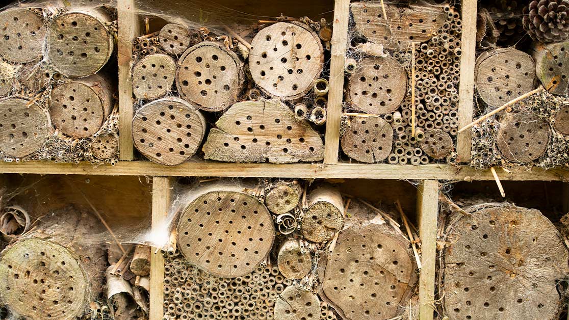 Bug hotel