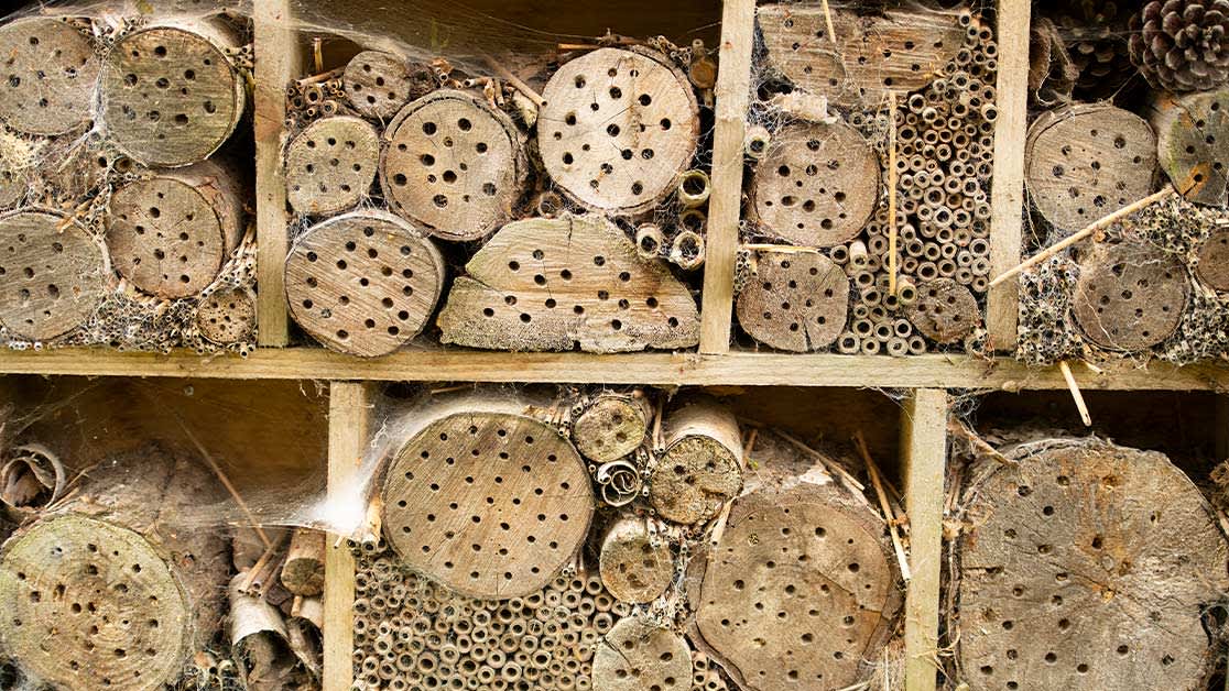 Bug hotel