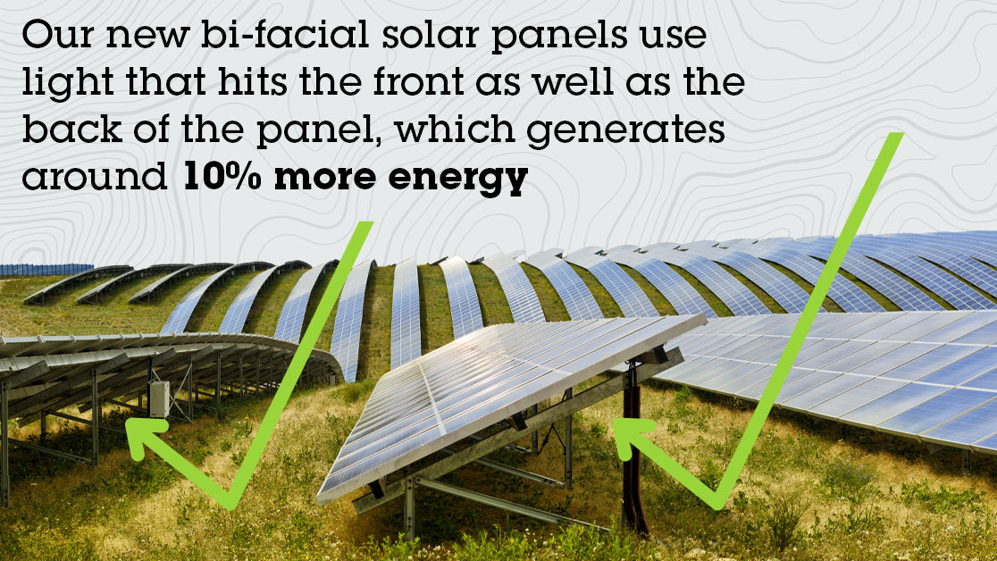 sun bifacial