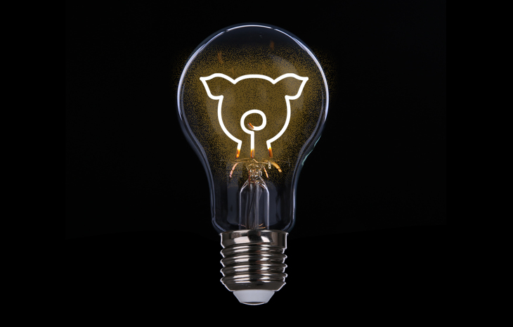 Animals in energy shock – the secret ingredient in your gas and electricity - Image 1