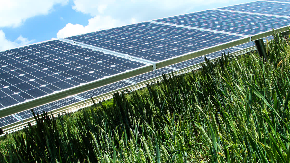 solar portfolio