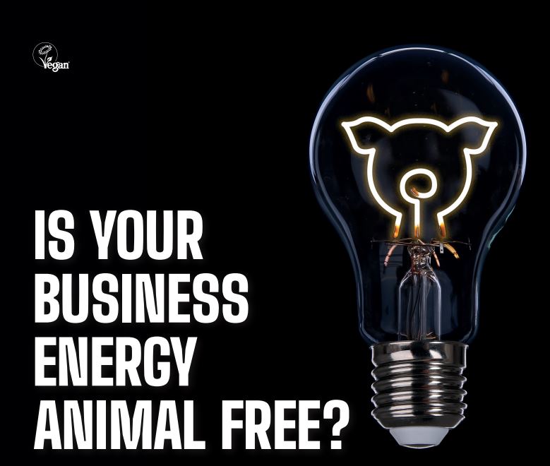 Is your business animal free?