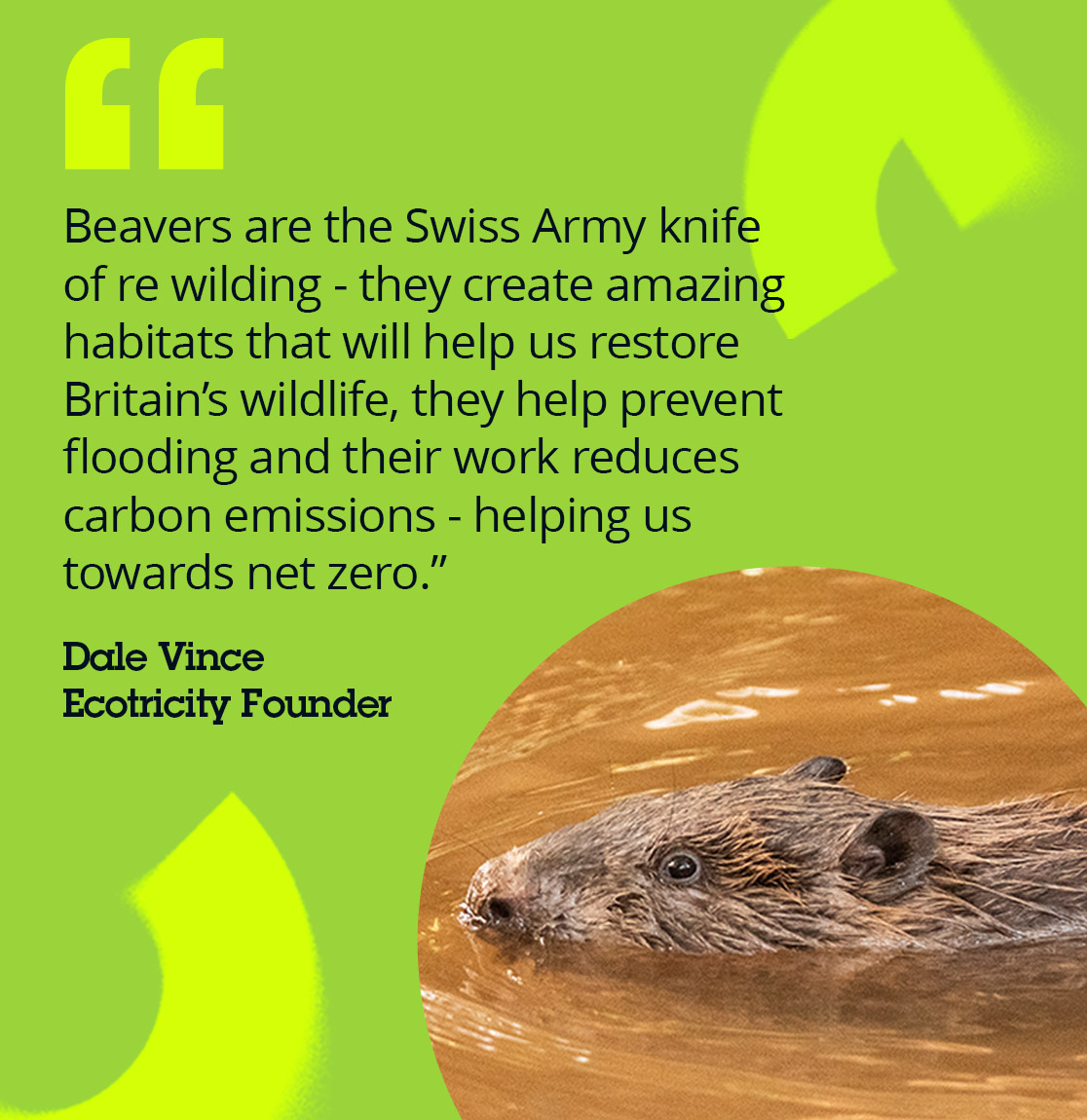 Dale Vince quote on Ecotalk beavers