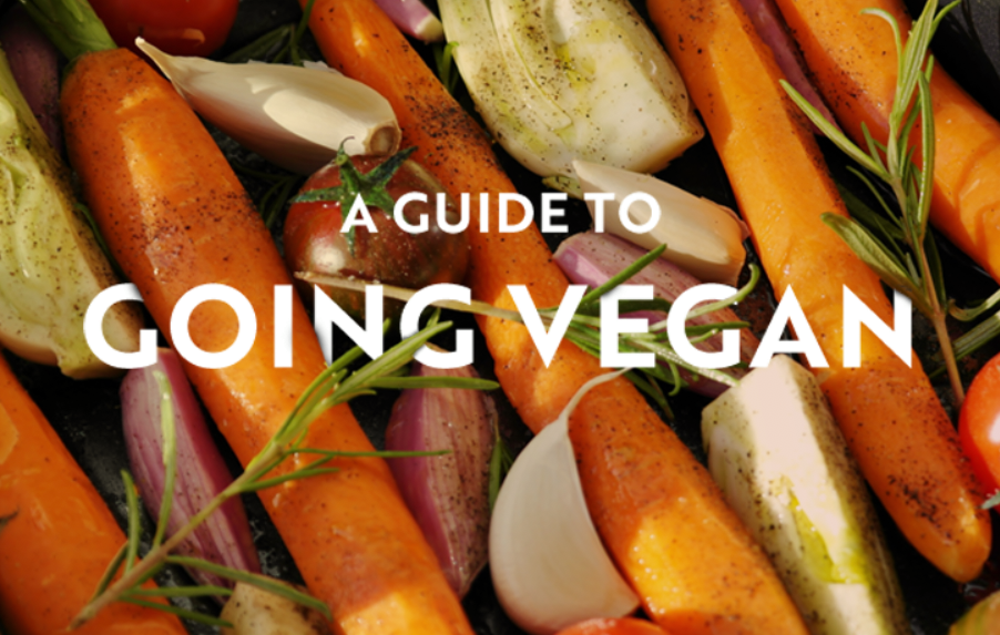 The Ecotricity guide to going vegan - Image 1