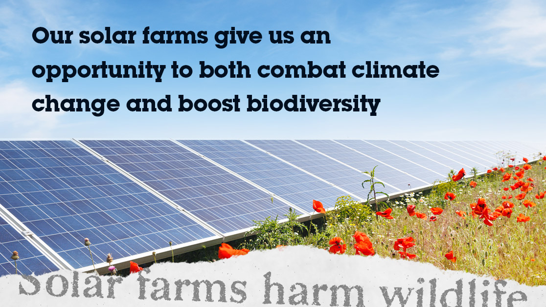 green myths biodiversity