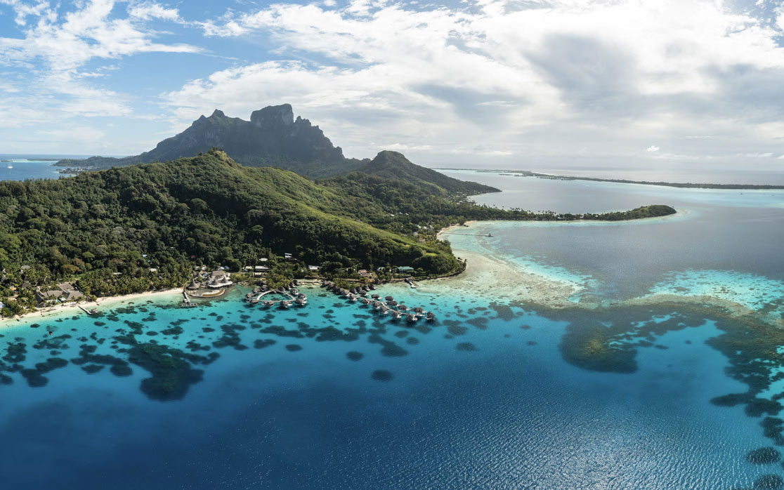 positive oct polynesia