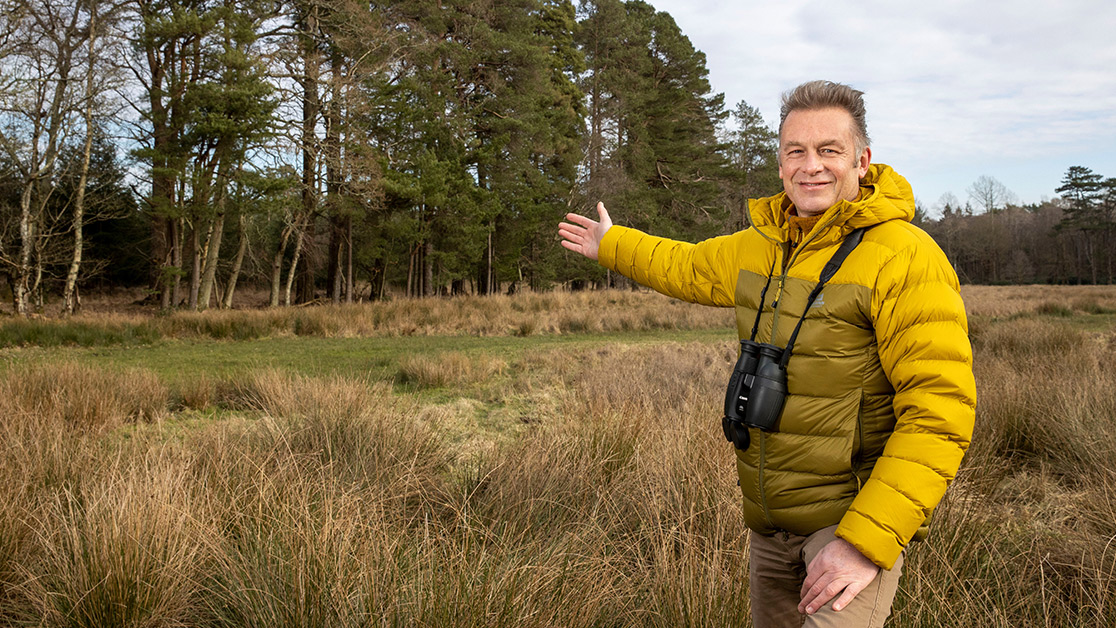 Chris Packham Horse Common