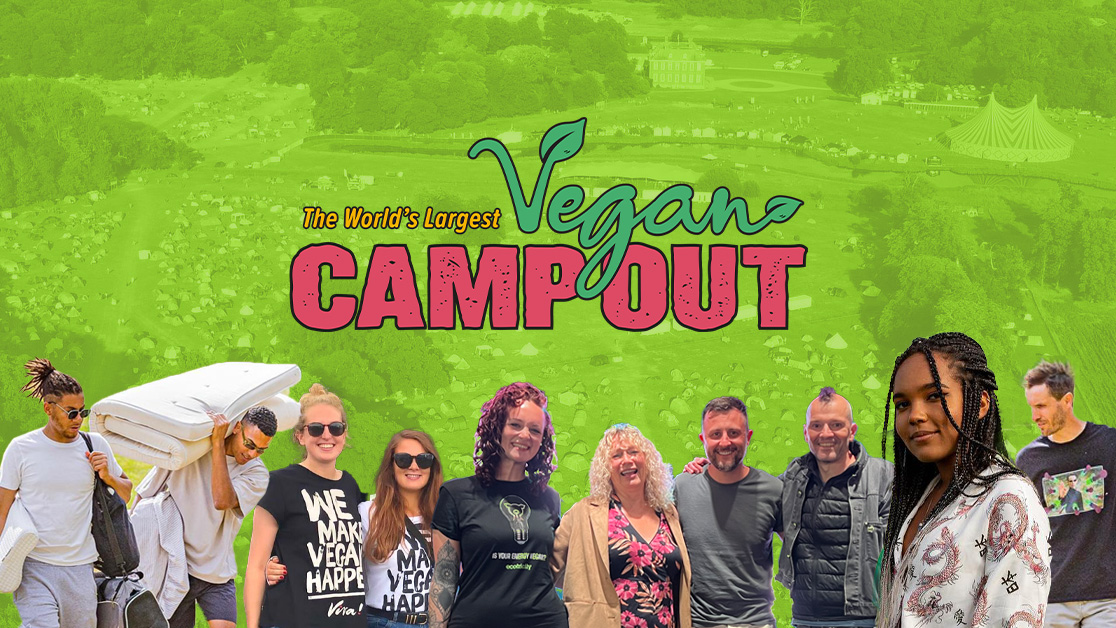 5 Reasons to head to Vegan Camp Out Ecotricity