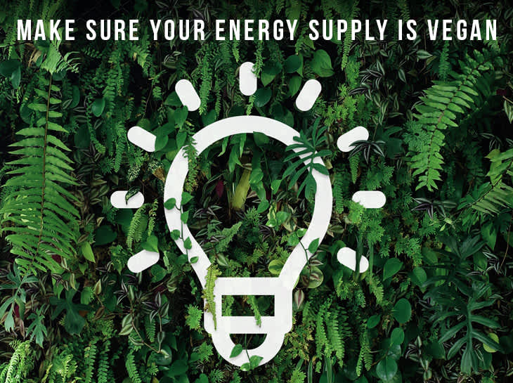 The Vegan Power Revolution from Ecotricity Ecotricity