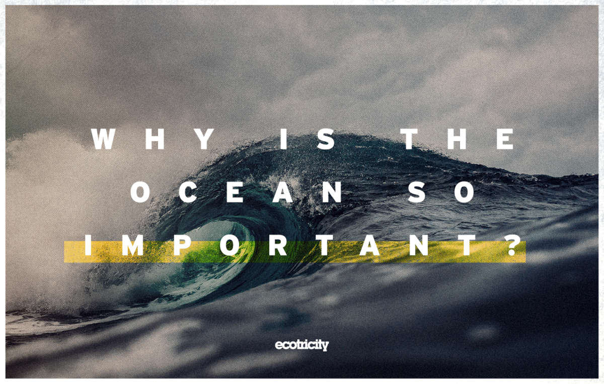 4 reasons why the ocean is important | Ecotricity