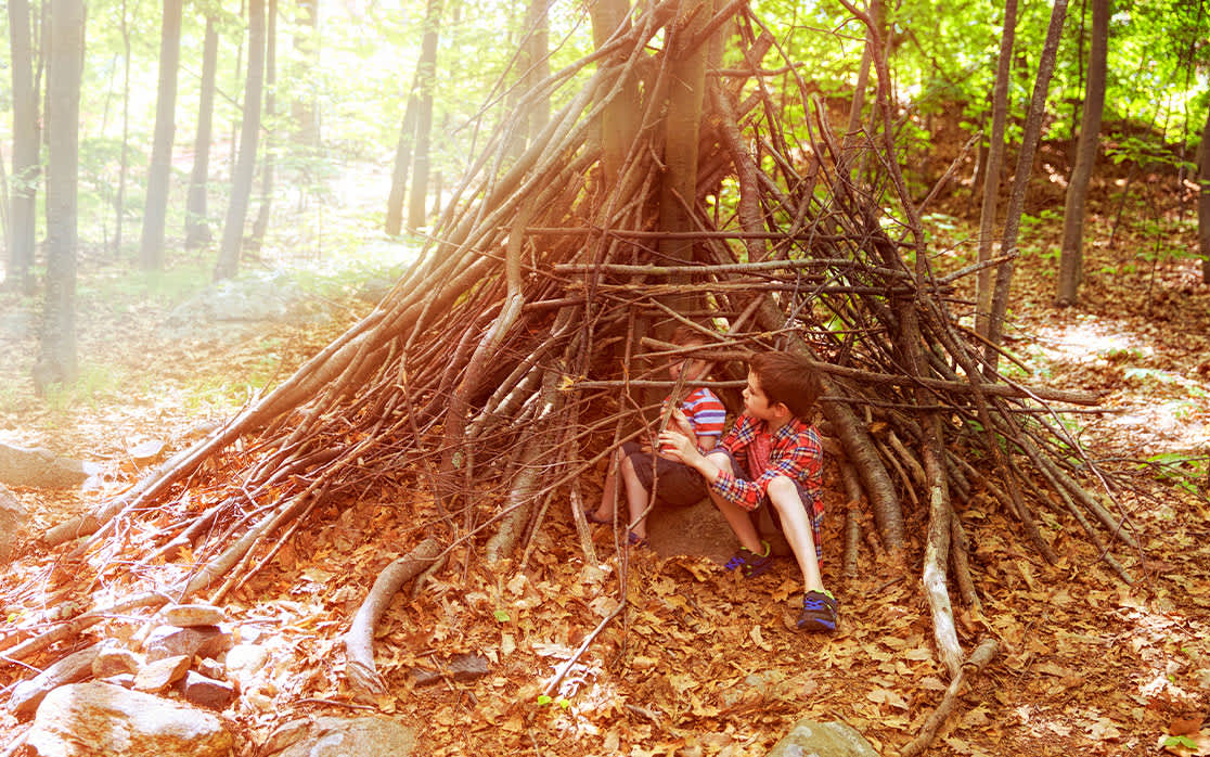 positive oct wildling