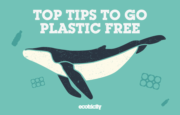 Eleven tips for cutting plastic out of your everyday life - Image 1