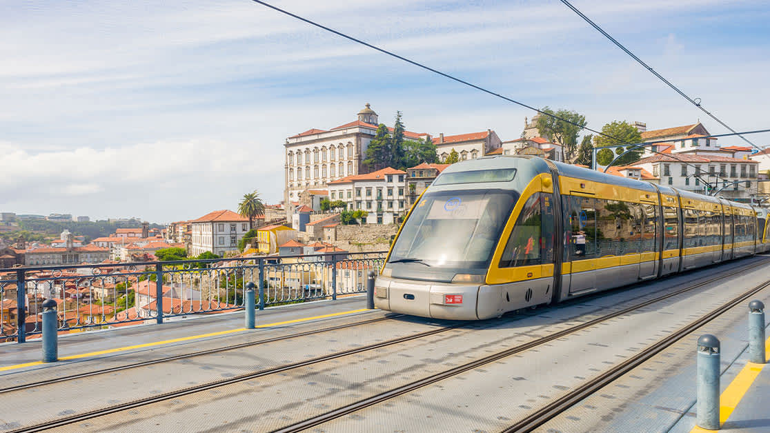 PCN august porto