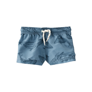 Carters best sale boys swimwear