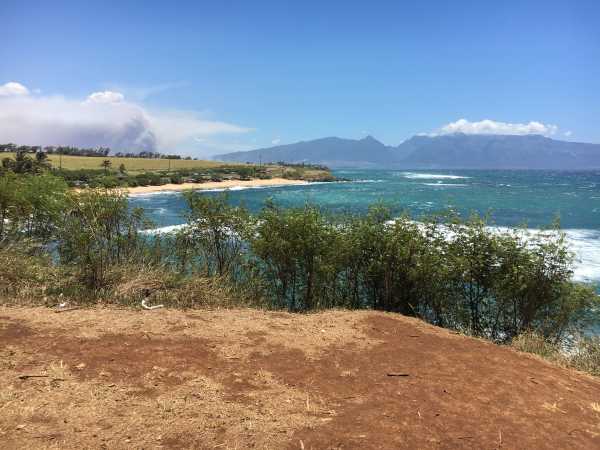 Card image for Hoʻokipa Beach Park