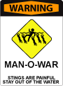 A sign with bold red text at the top that says "Warning" and iconography that depicts a person swimming surrounded by jellyfish. Under the iconography there is text that says: "Man-o-war. Stings are painful, stay out of water."