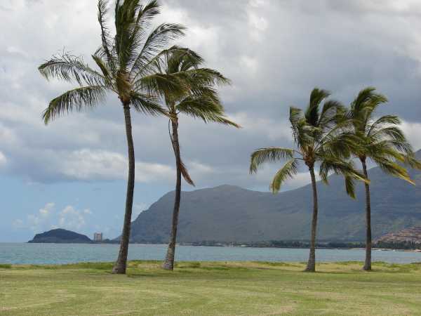 Card image for Maʻili Beach Park