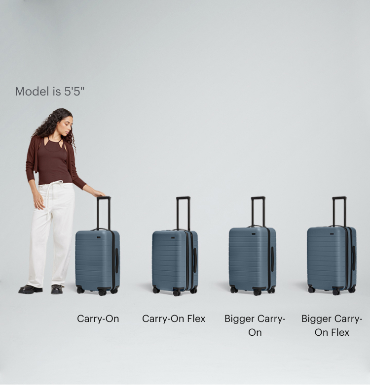 Maximum size for overhead luggage online