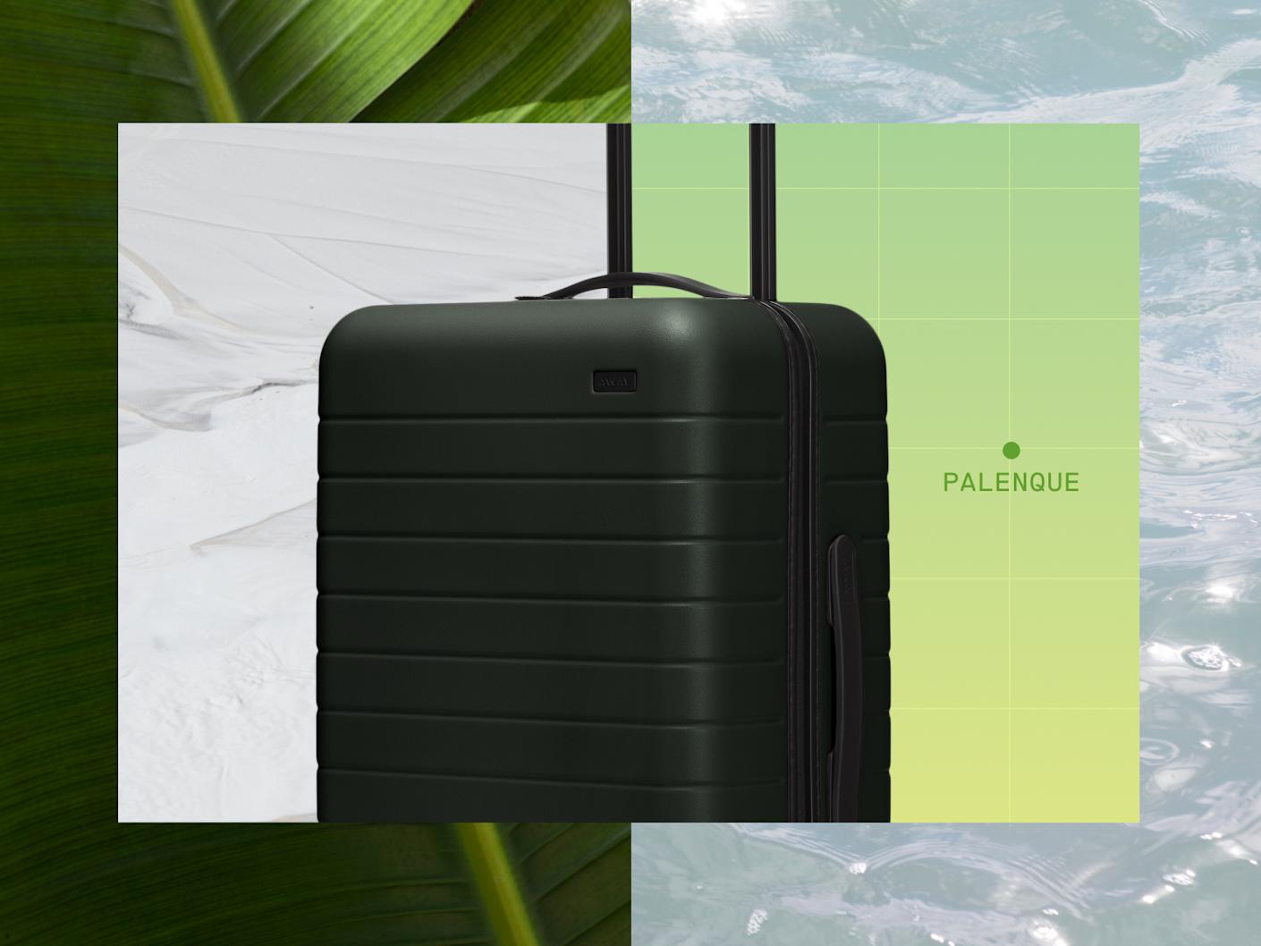 A snapshot of a green Away suitcase with animated water flow on the right and a closeup of a green leaf on the left.