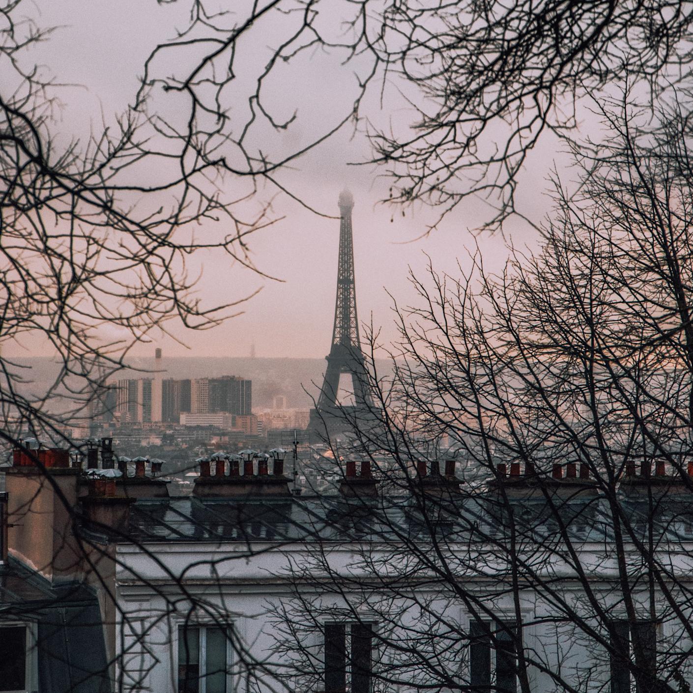 The Eiffel tower shot from a distance capturing a dusky view between foliage.