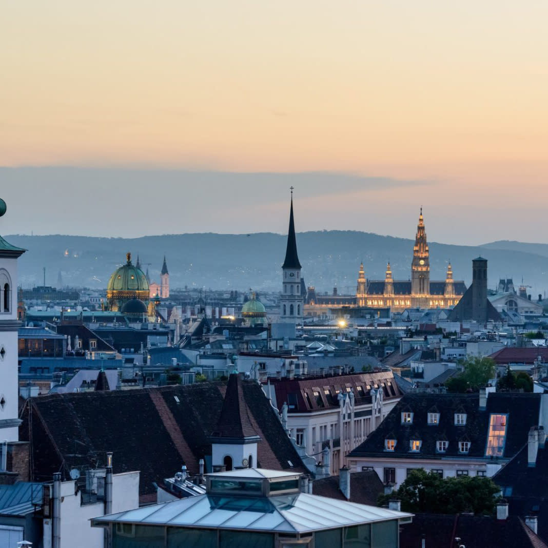 Aerial view of the roof-tops in Vienna during Covid-19 quarantine 2020.