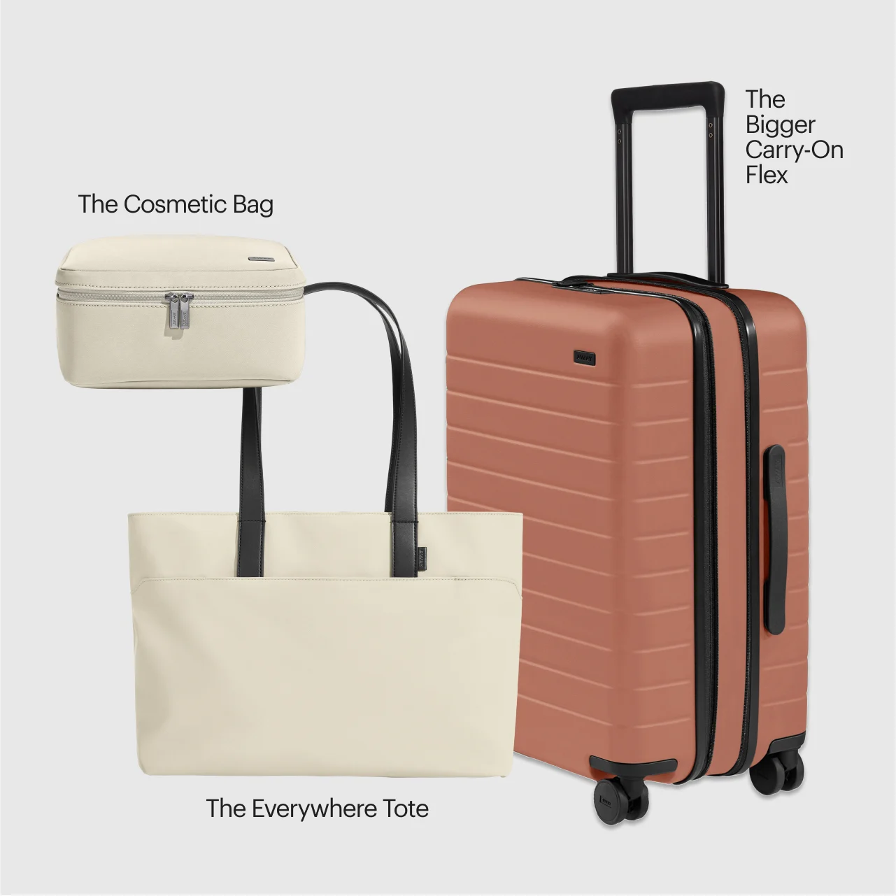 travel case in stores