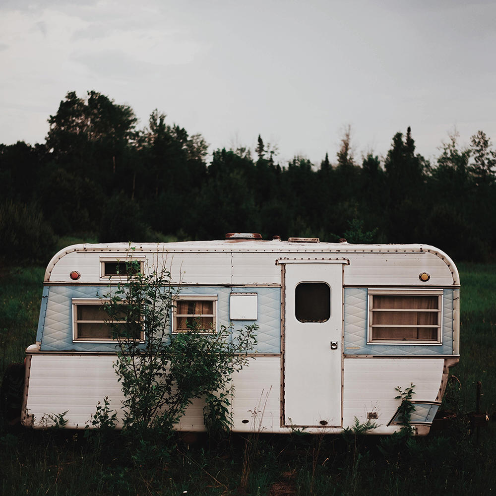 White RV seen in a solitary forest setting with trees and shrubs.