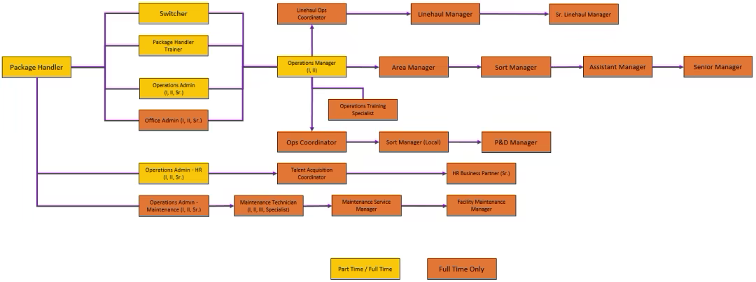 plan de desarrollo profesional de los empleados