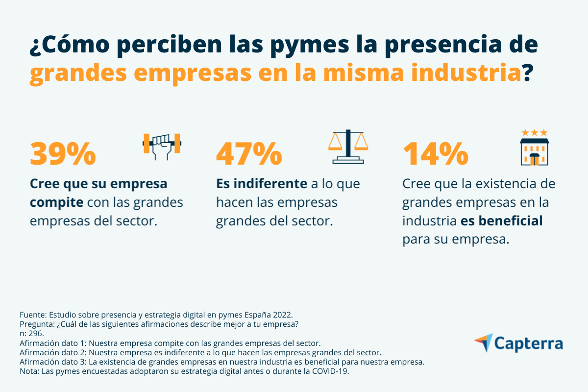 Percepción de las pymes españolas de grandes empresas en la misma industria