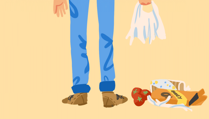 Bild mit gerissener Einkaufstüte