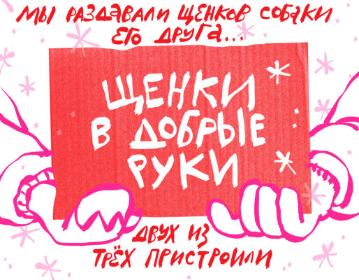 «Щенки в добрые руки»
Мы раздавали щенков собаки его друга... Двух из трёх пристроили