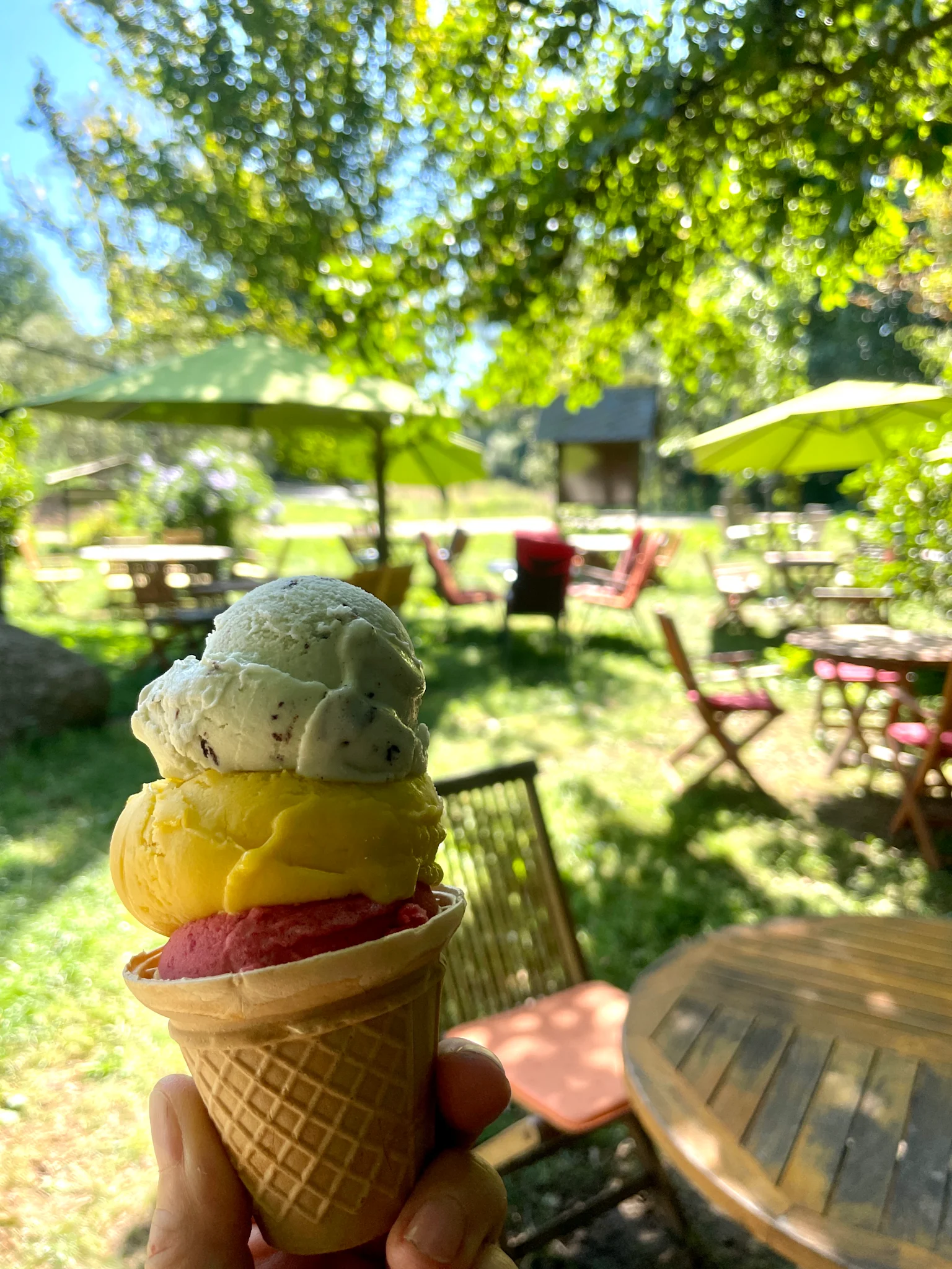 Waffeleis