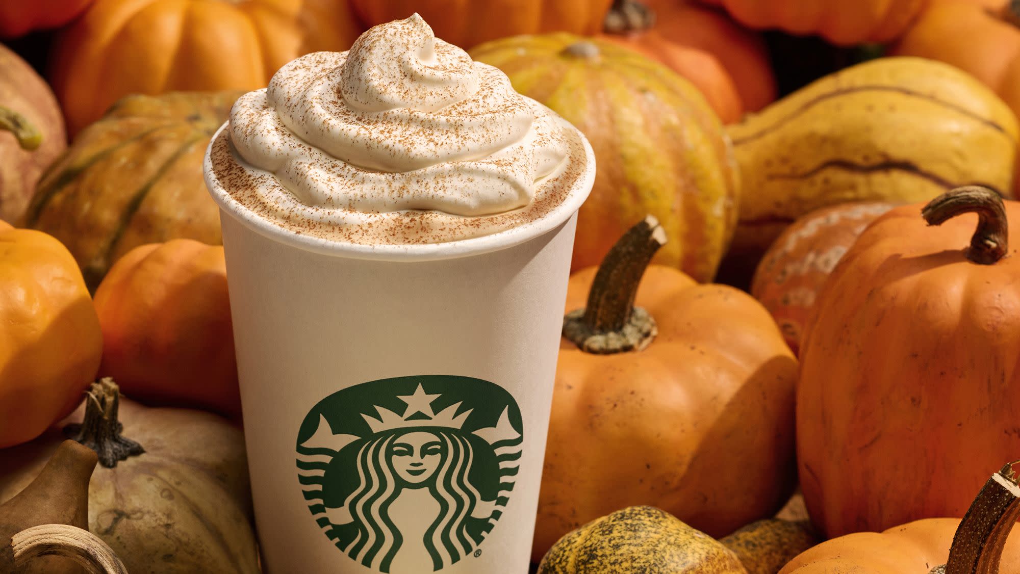 Starbucks pumpkin spice latte with foam and cinnamon in front of orange pumpkins and gourds 