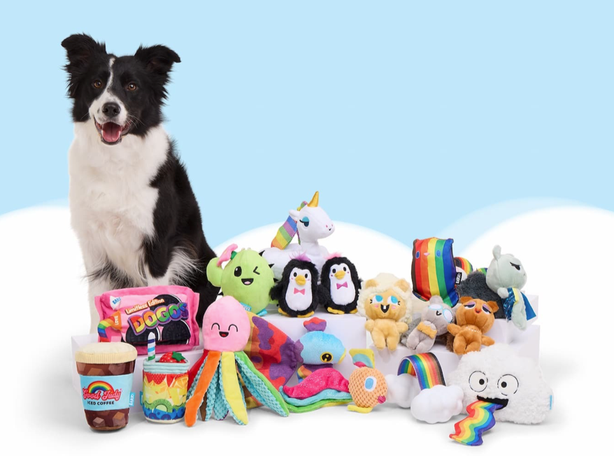  Pride-themed box with colorful treats and toys.