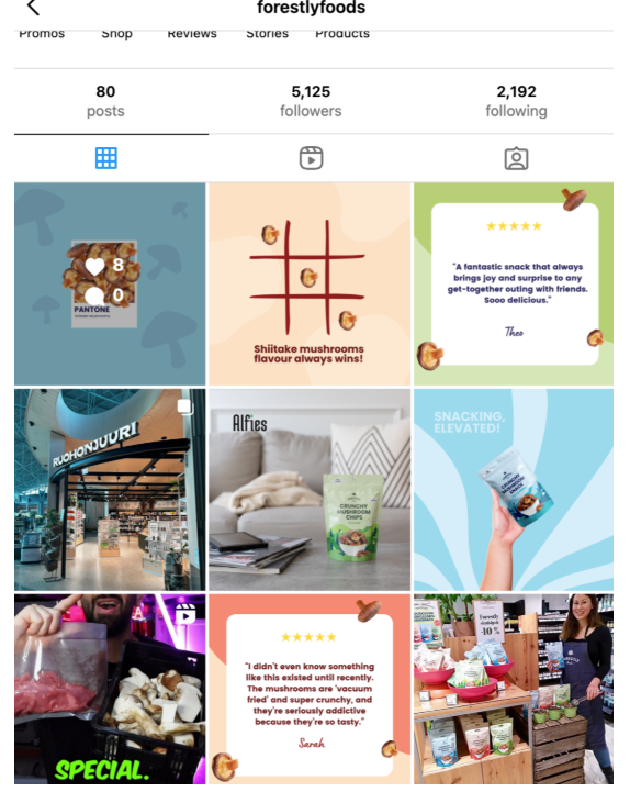 Instagram feed includes earthy brand colors, product features, and playful jokes.