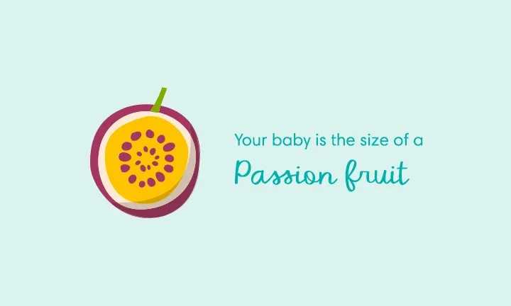 baby size of passion fruit week 12