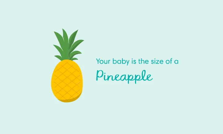 baby size of pineapple week 33