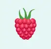 Raspberry icon