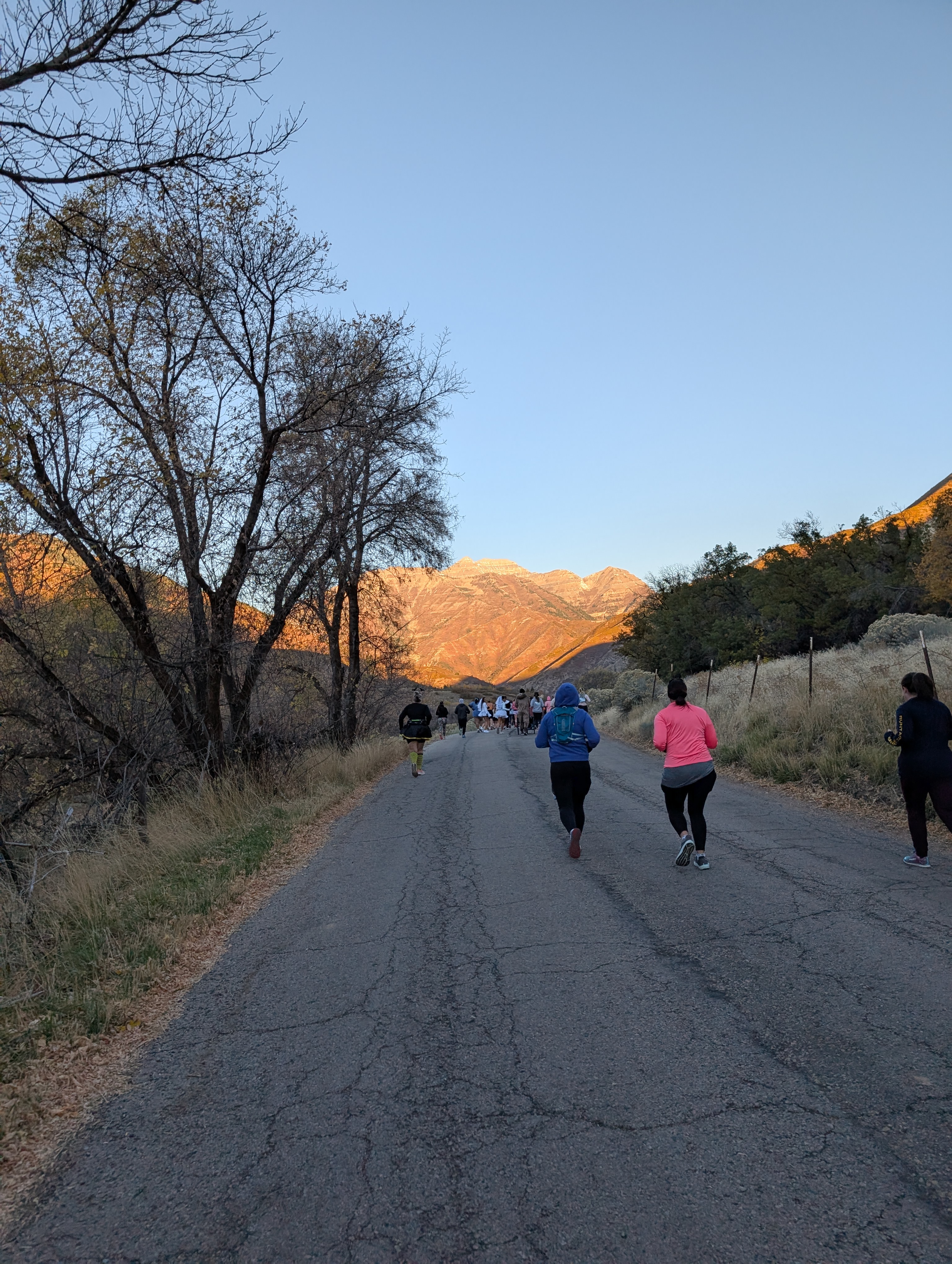 Provo Haunted Half - 13.1 - 2024 - mid race